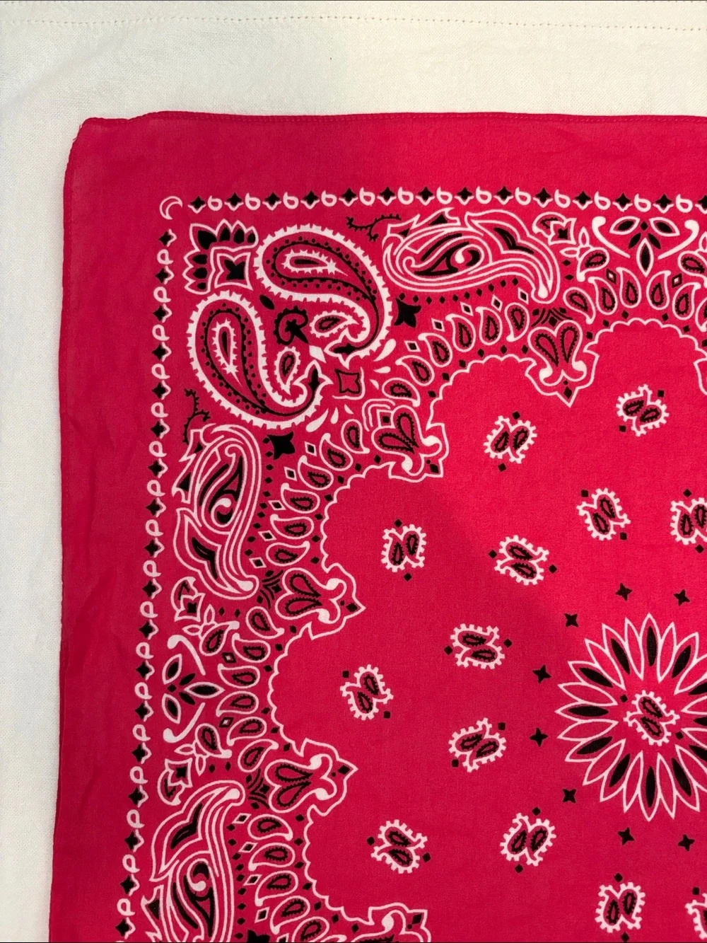 Pink Paisley Bandana